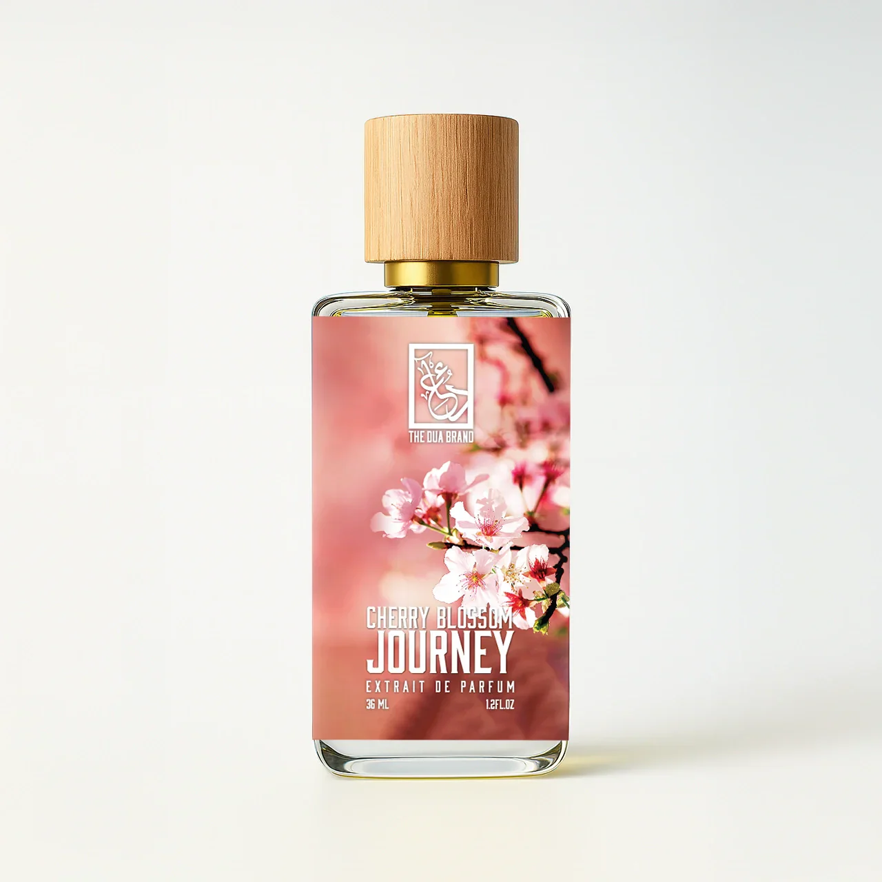 Cherry Blossom Journey